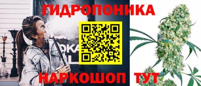 круглые Пушкино