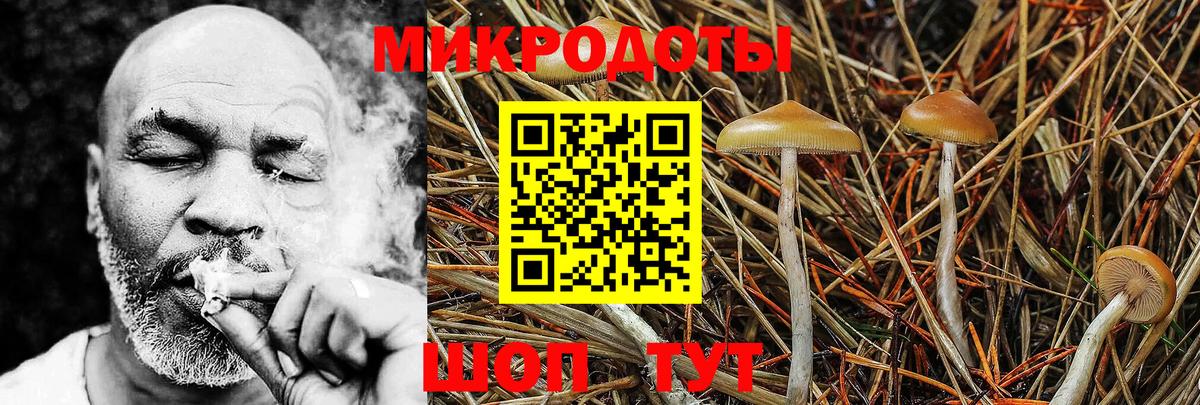 Псилоцибиновые грибы мухоморы Реутов